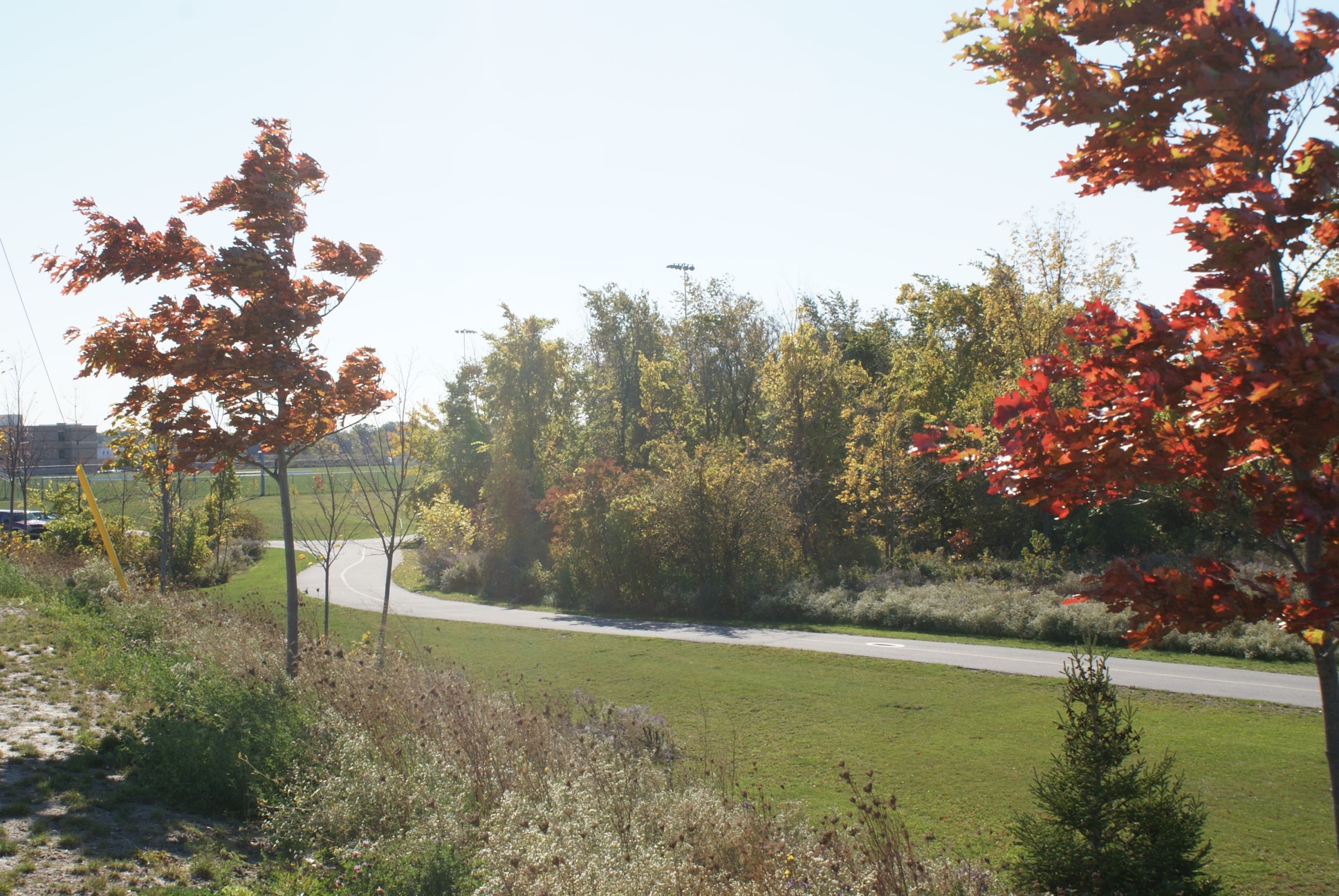 Little River Corridor pathway in autumn